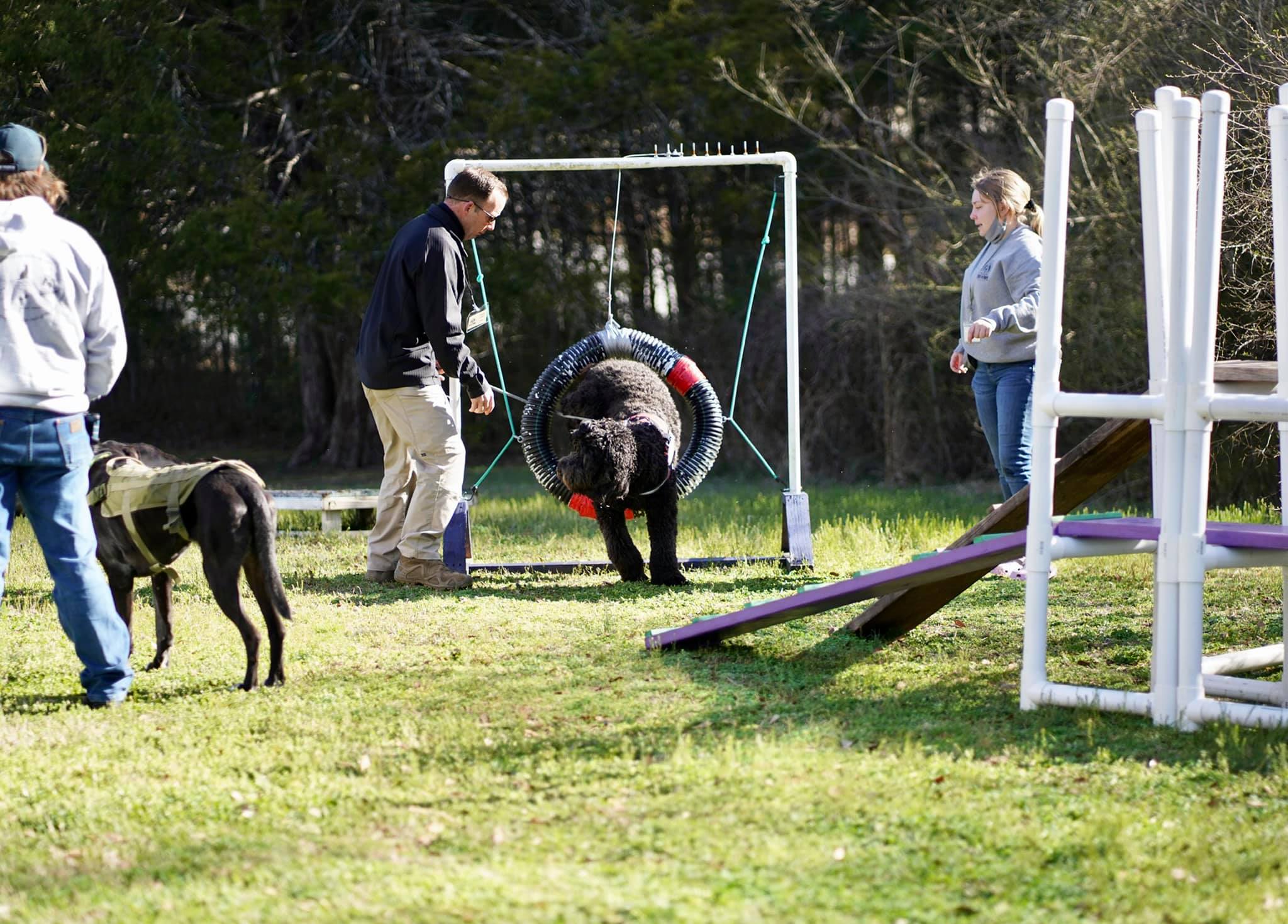 Volunteer Tails of Hope