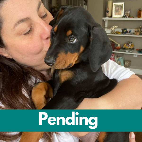 Dublin-PENDING (9)