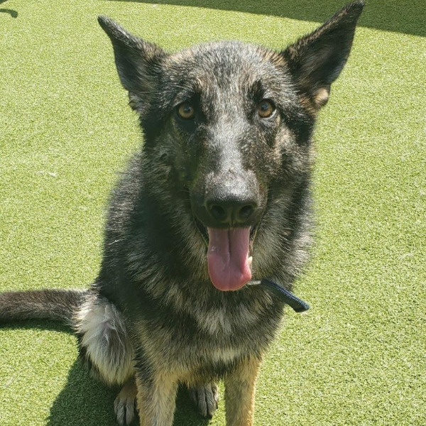 Dublin-PENDING - 2023-04-25T203405.467