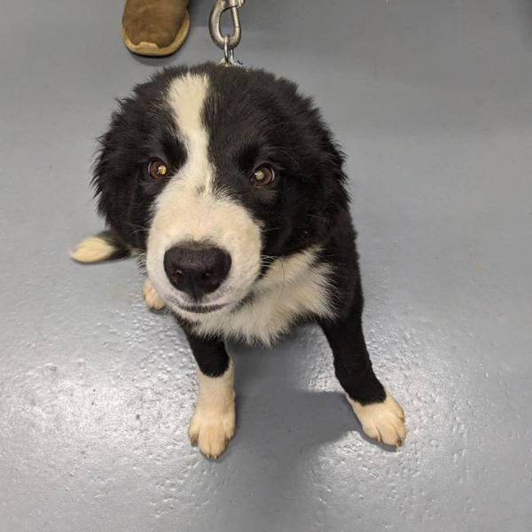 Dublin-PENDING - 2023-05-24T100233.155