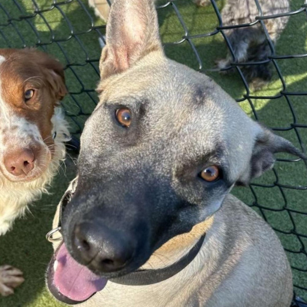 Dublin-PENDING - 2023-05-24T101004.009