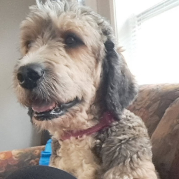Dublin-PENDING - 2025-05-15T101656.663