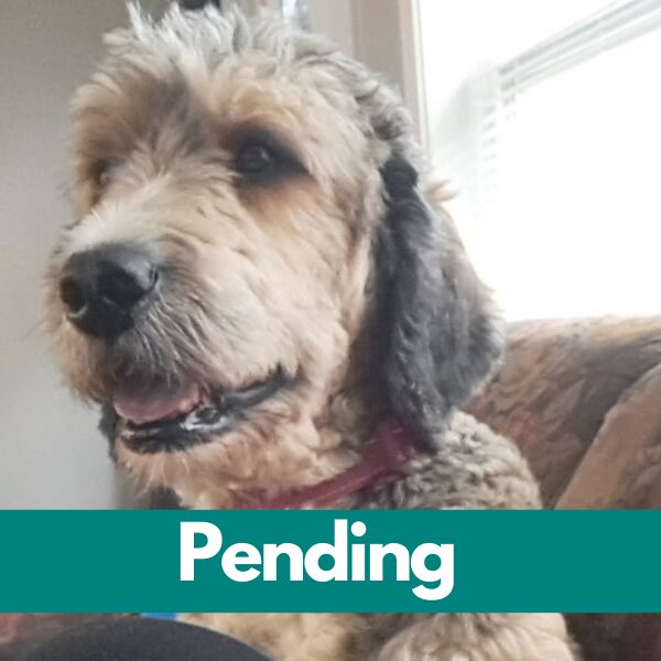 SD Brenna - pending